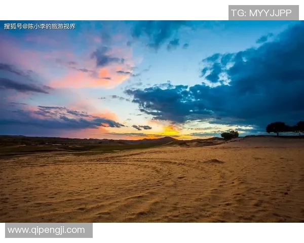 布莱克尼的魅力探秘：揭示这座小镇的历史与文化之美